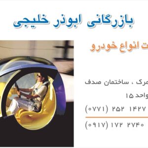 کارت ویزیت pvc - داتکو - 2570