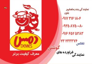 کارت ویزیت pvc - داتکو - 2602