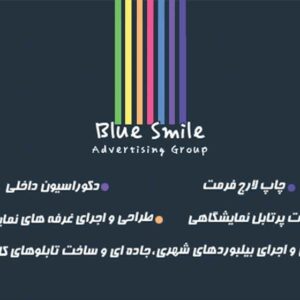 کارت ویزیت pvc - داتکو - 2648