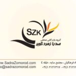 کارت ویزیت pvc - داتکو - 2661