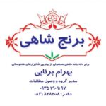 کارت ویزیت pvc - داتکو - 2714