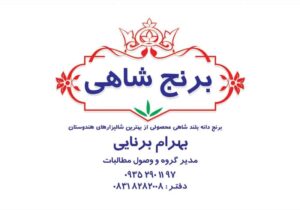 کارت ویزیت pvc - داتکو - 2714