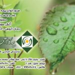 کارت ویزیت pvc - داتکو - 2717