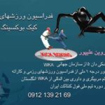 کارت ویزیت pvc - داتکو - 2729