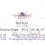 کارت ویزیت pvc - داتکو - 2731