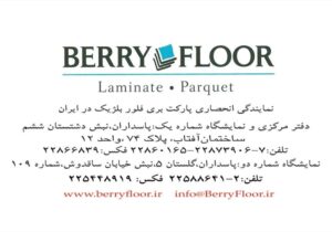 کارت ویزیت pvc - داتکو - 2739