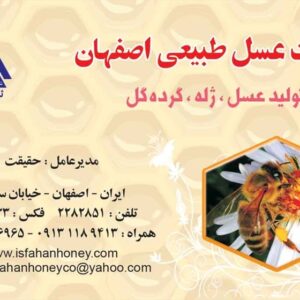 کارت ویزیت pvc - داتکو - 2746