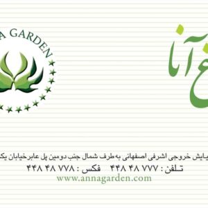 کارت ویزیت pvc - داتکو - 2786