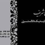 کارت ویزیت pvc - داتکو - 2812