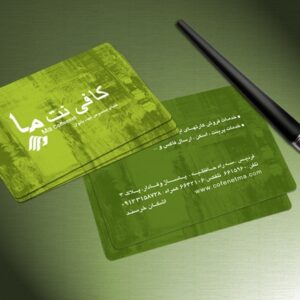 کارت ویزیت pvc - داتکو - 2903