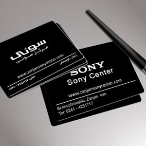 کارت ویزیت pvc - داتکو - 2913