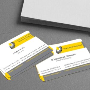 کارت ویزیت pvc - داتکو - 2970