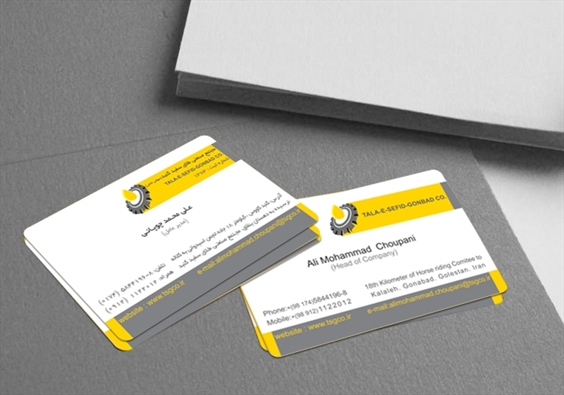 کارت ویزیت pvc - داتکو - 2970