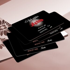 کارت ویزیت pvc - داتکو - 3056