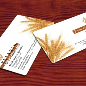 کارت ویزیت pvc - داتکو - 3082