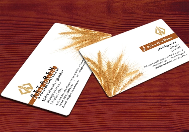 کارت ویزیت pvc - داتکو - 3082