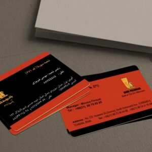 کارت ویزیت pvc - داتکو - 3088