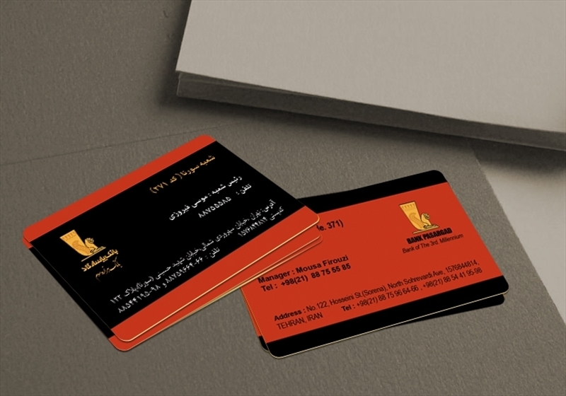 کارت ویزیت pvc - داتکو - 3088