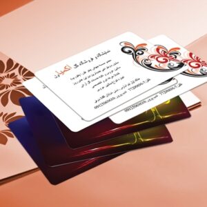 کارت ویزیت pvc - داتکو - 3090