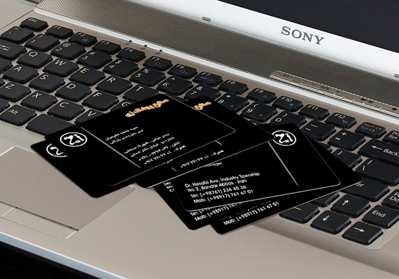 کارت ویزیت pvc - داتکو - 3094