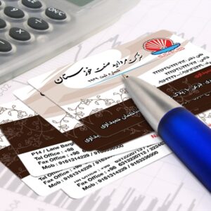 کارت ویزیت pvc - داتکو - 3110