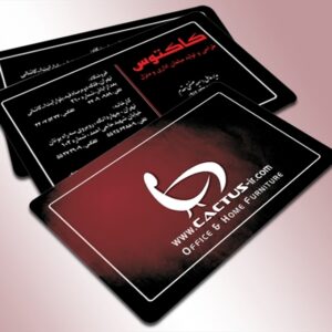 کارت ویزیت pvc - داتکو - 3112