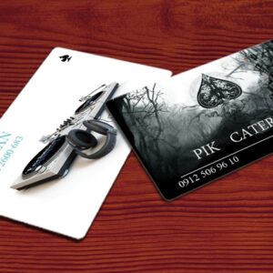 کارت ویزیت pvc - داتکو - 3150