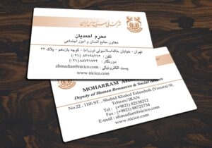 کارت ویزیت pvc - داتکو - 3199