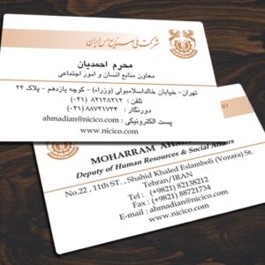 کارت ویزیت pvc - داتکو - 3199