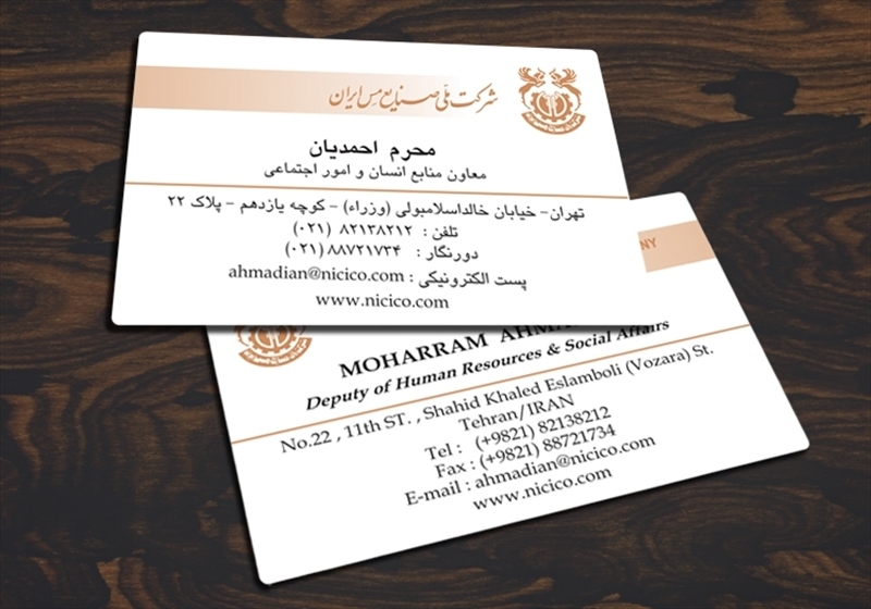 کارت ویزیت pvc - داتکو - 3199