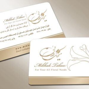 کارت ویزیت pvc - داتکو - 3254