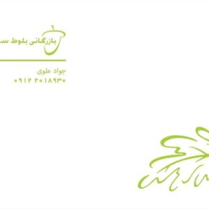 کارت ویزیت pvc - داتکو - 2025