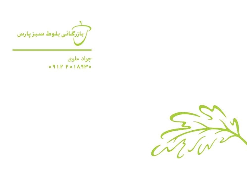 کارت ویزیت pvc - داتکو - 2025