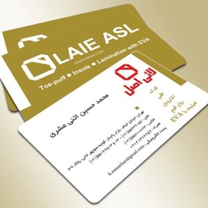 کارت ویزیت pvc - داتکو - 3318