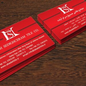 کارت ویزیت pvc - داتکو - 3349