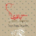 کارت ویزیت pvc - داتکو - 2035