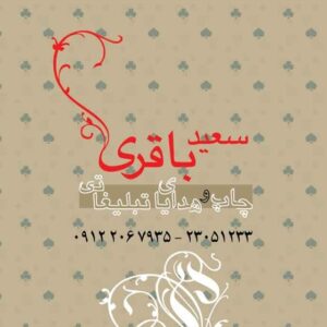 کارت ویزیت pvc - داتکو - 2035