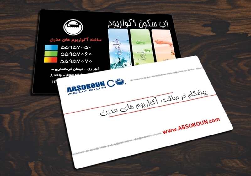 کارت ویزیت pvc - داتکو - 3367