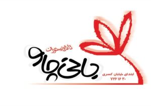 کارت ویزیت pvc - داتکو - 2037