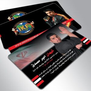 کارت ویزیت pvc - داتکو - 3451