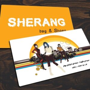 کارت ویزیت pvc - داتکو - 3472