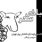 کارت ویزیت pvc - داتکو - 2049