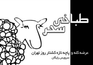 کارت ویزیت pvc - داتکو - 2049