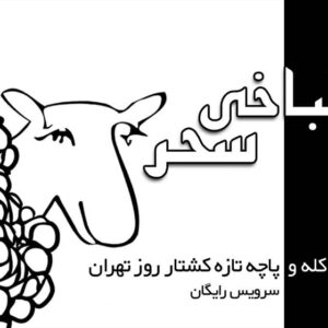 کارت ویزیت pvc - داتکو - 2049