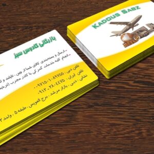 کارت ویزیت pvc - داتکو - 3506