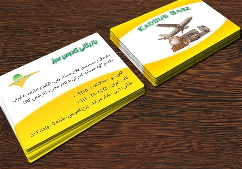 کارت ویزیت pvc - داتکو - 3506