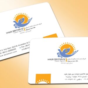 کارت ویزیت pvc - داتکو - 3532