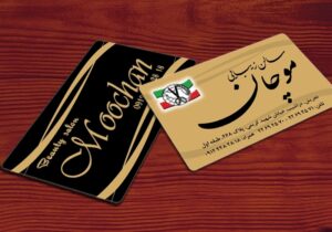 کارت ویزیت pvc - داتکو - 3591