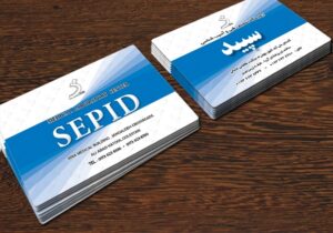 کارت ویزیت pvc - داتکو - 3603