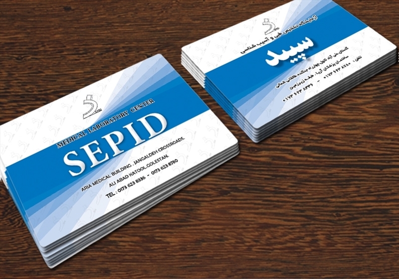 کارت ویزیت pvc - داتکو - 3603